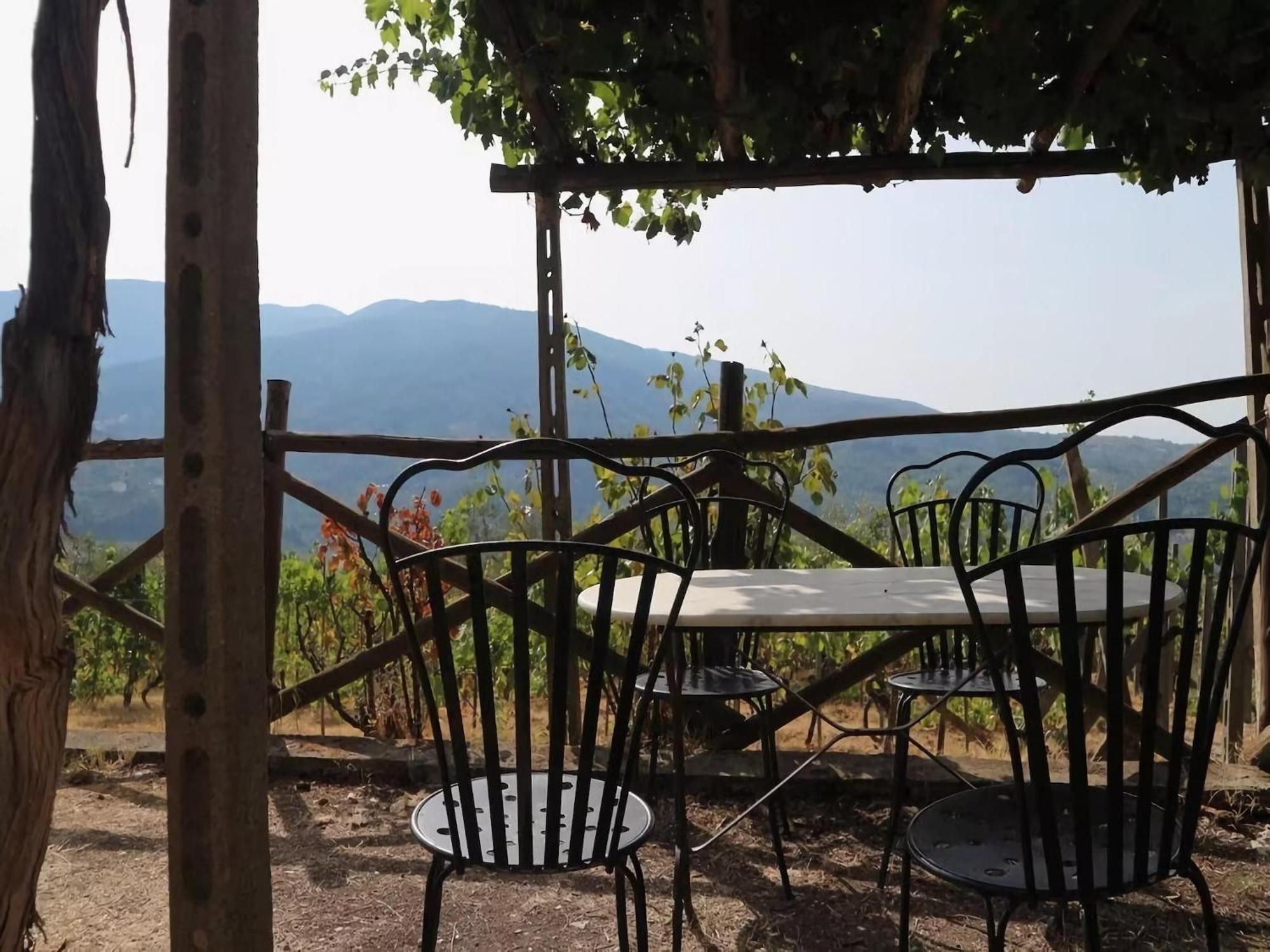 Cosy Apartment Forno In Pelago With Swimming Pool Donnini Extérieur photo
