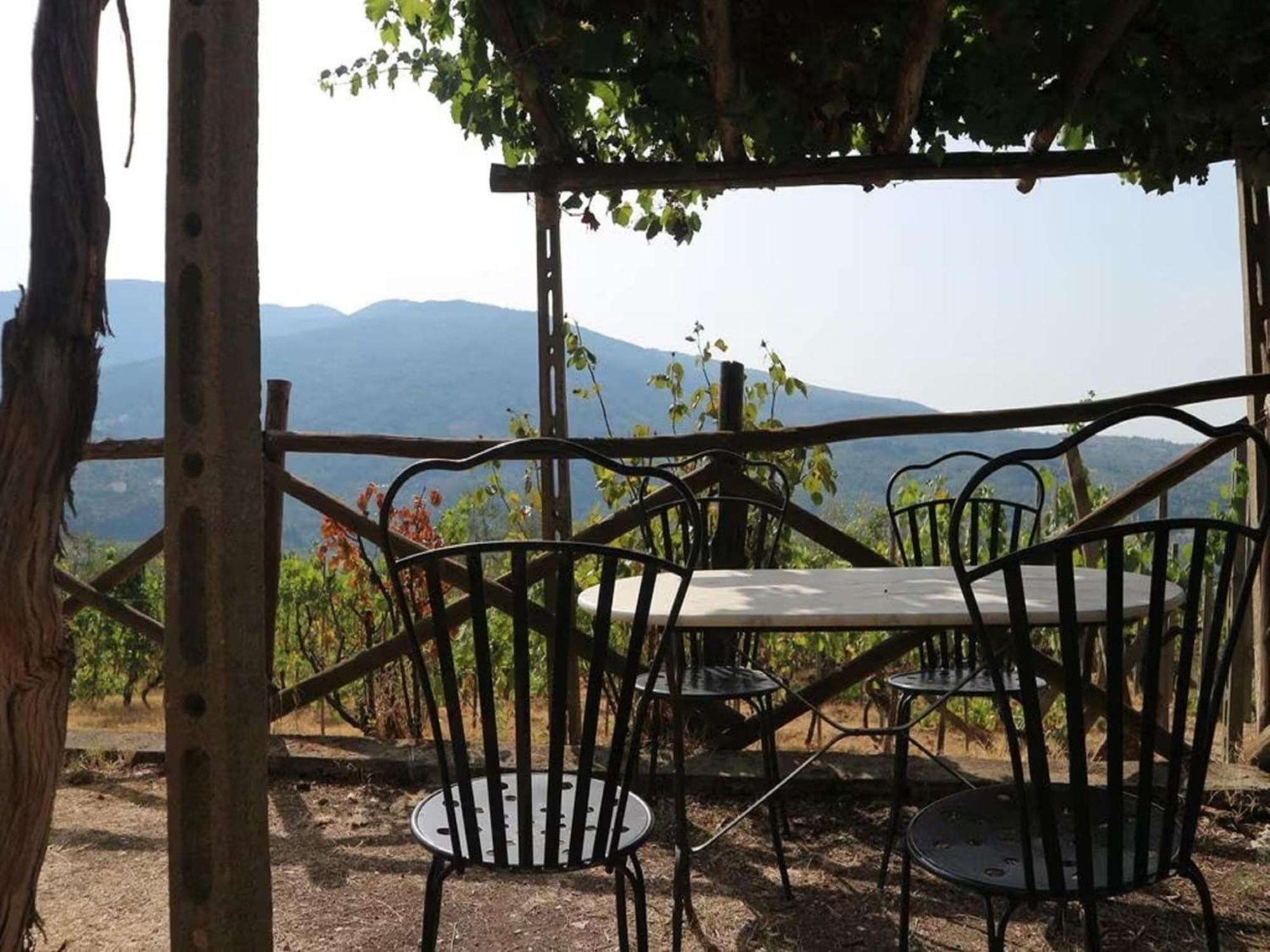Cosy Apartment Forno In Pelago With Swimming Pool Donnini Extérieur photo